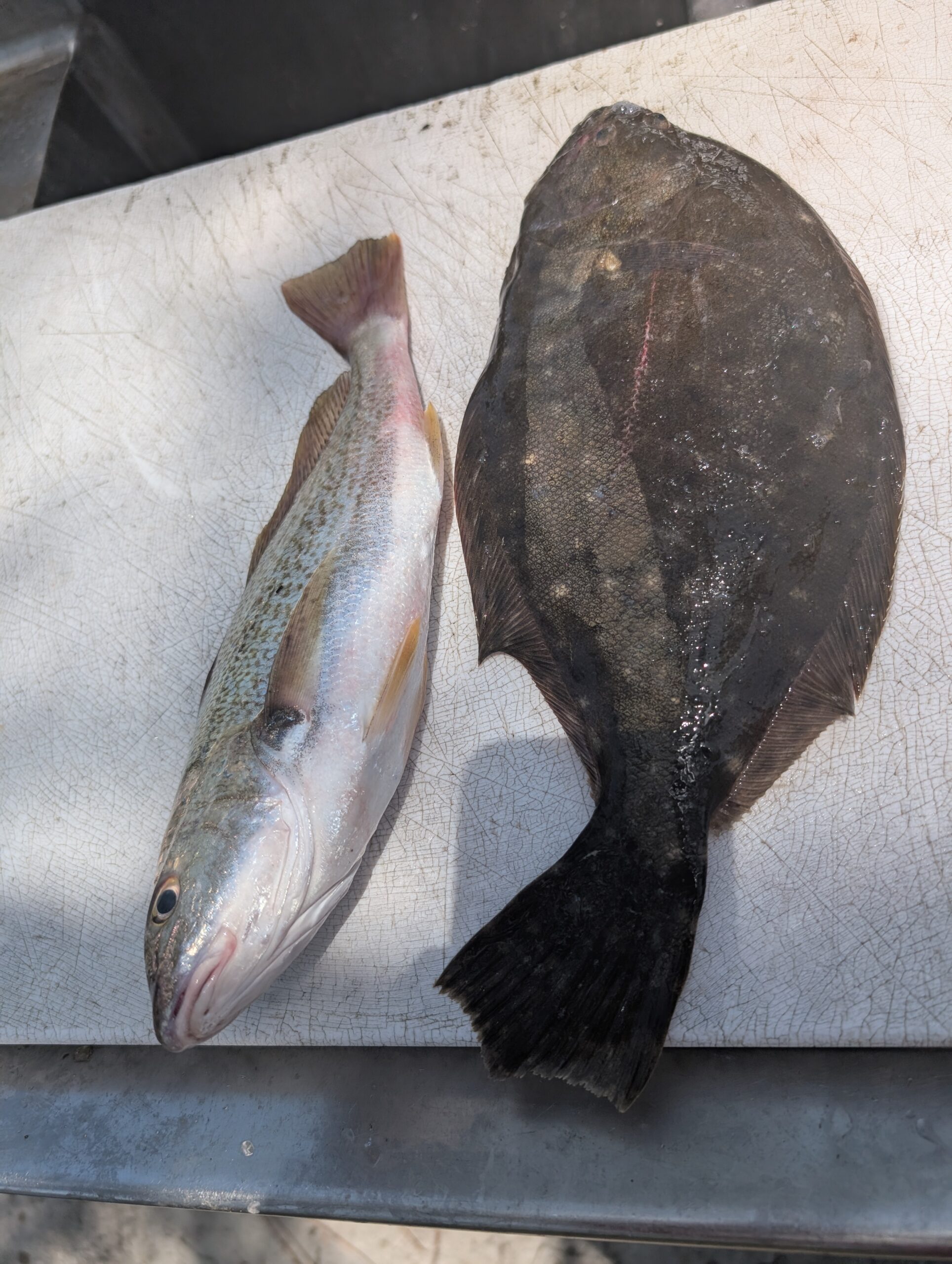 May Fishing